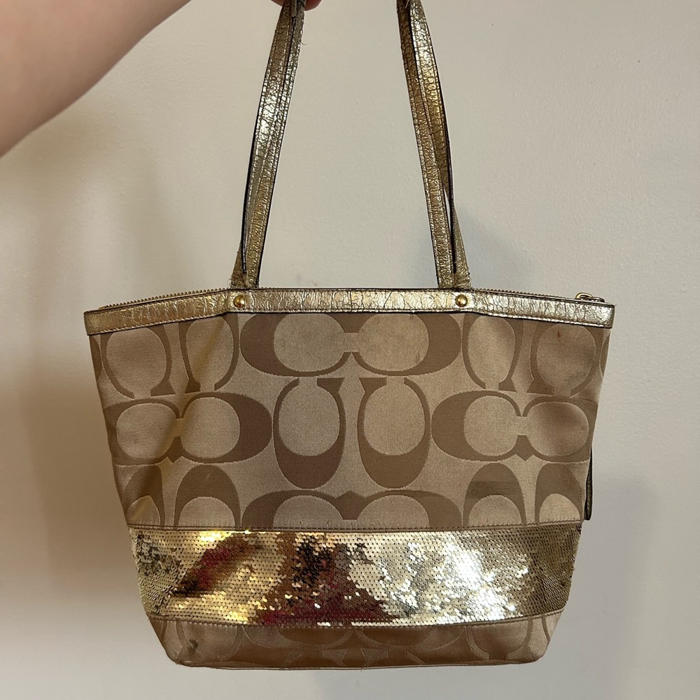 Sequin Coach Bag
